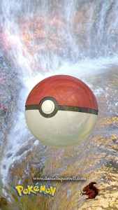 Pokéball (2014)
